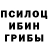 Псилоцибиновые грибы ЛСД Randy Mcallister