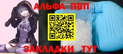 СК Краснознаменск
