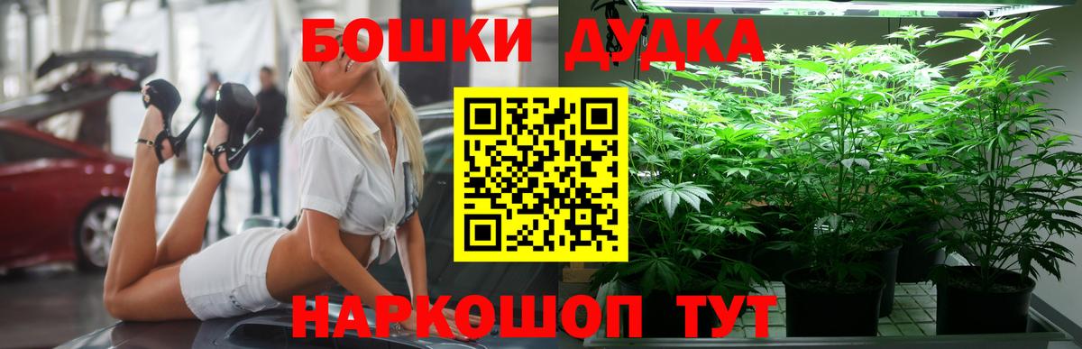 Каннабис план Каменск-Шахтинский